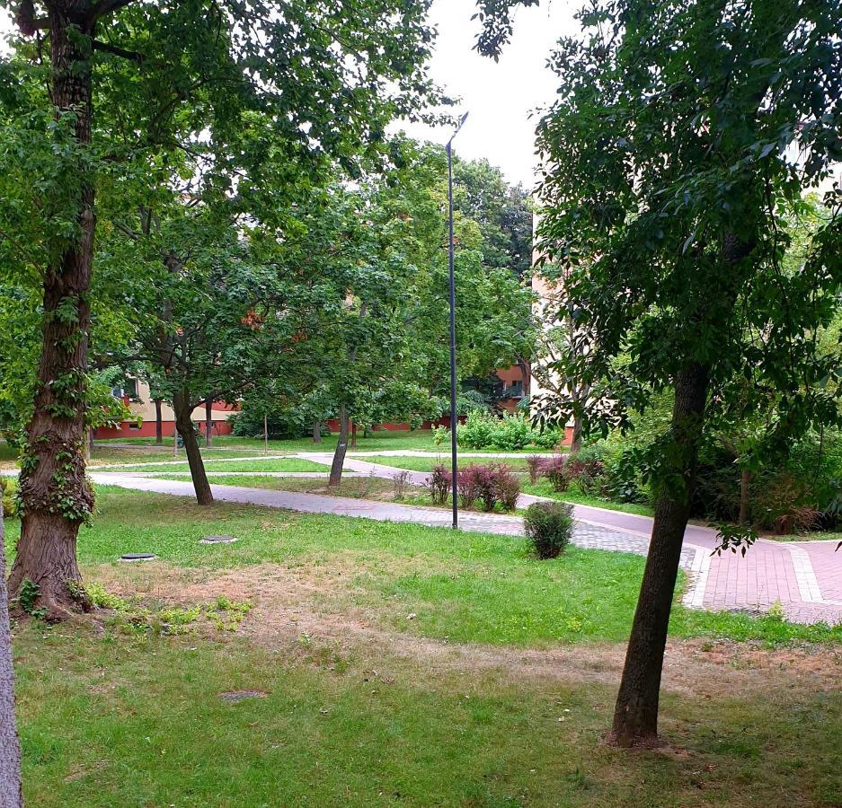 Best Choice 2-Bedroom Apartment Płock Zewnętrze zdjęcie
